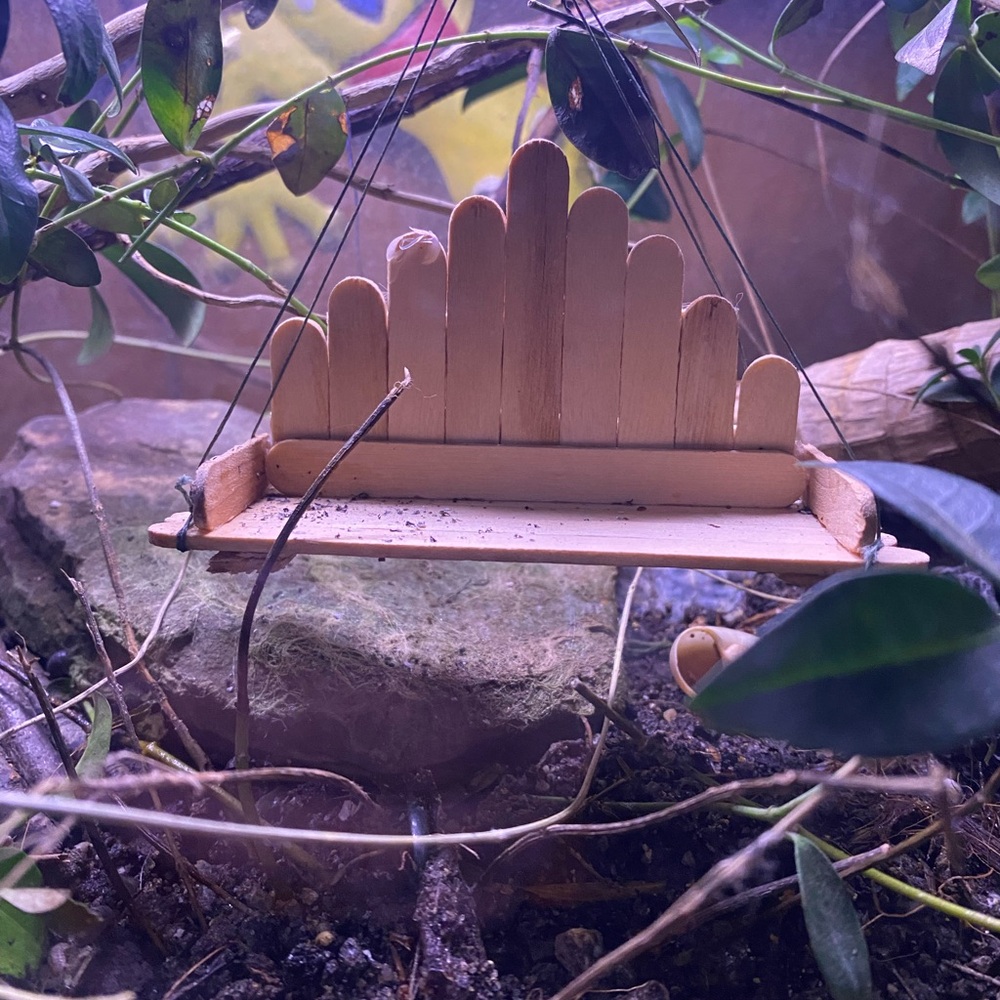 Hanging swing for aquarium - made by my granddaughter.